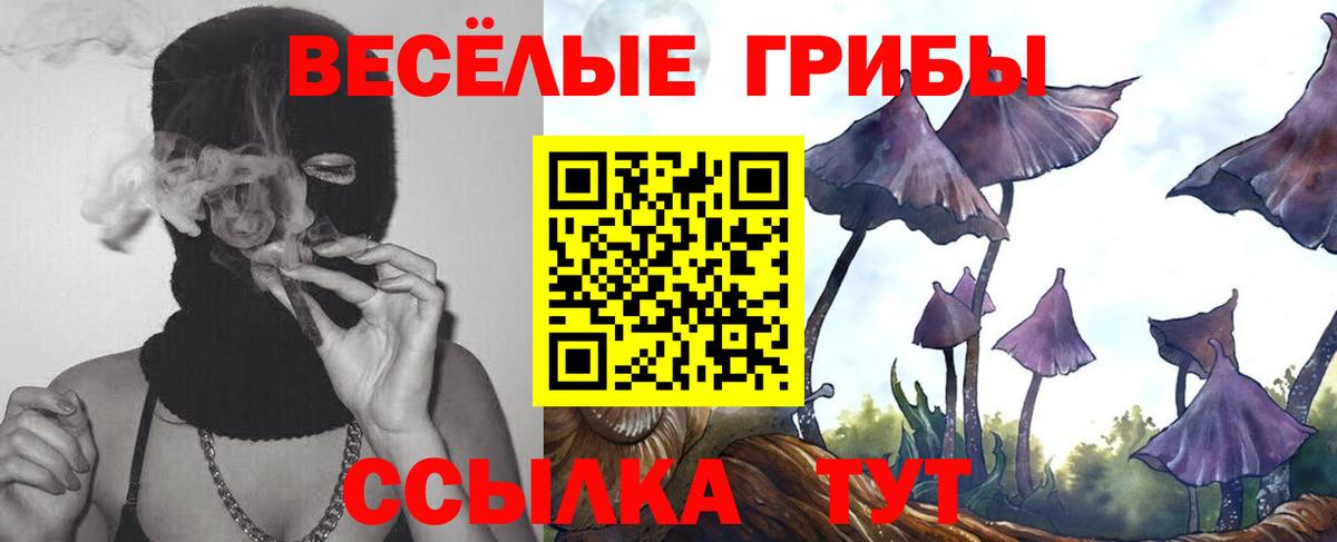 Галлюциногенные грибы ЛСД Добрянка